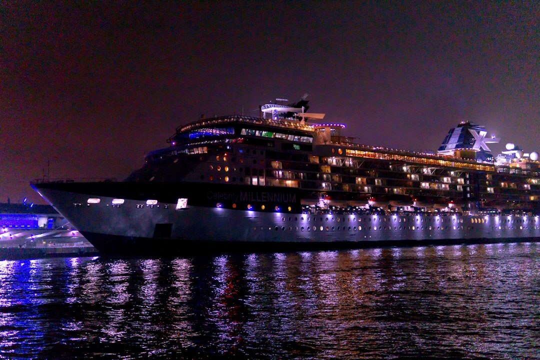 celebrity silhouette at night